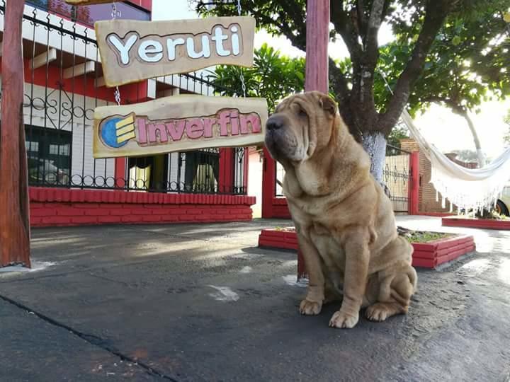 Posada Turistica Yeruti Encarnación Esterno foto